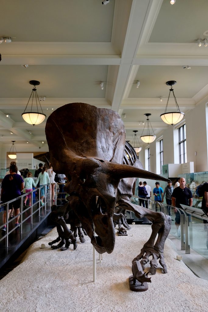 American Museum of Natural History