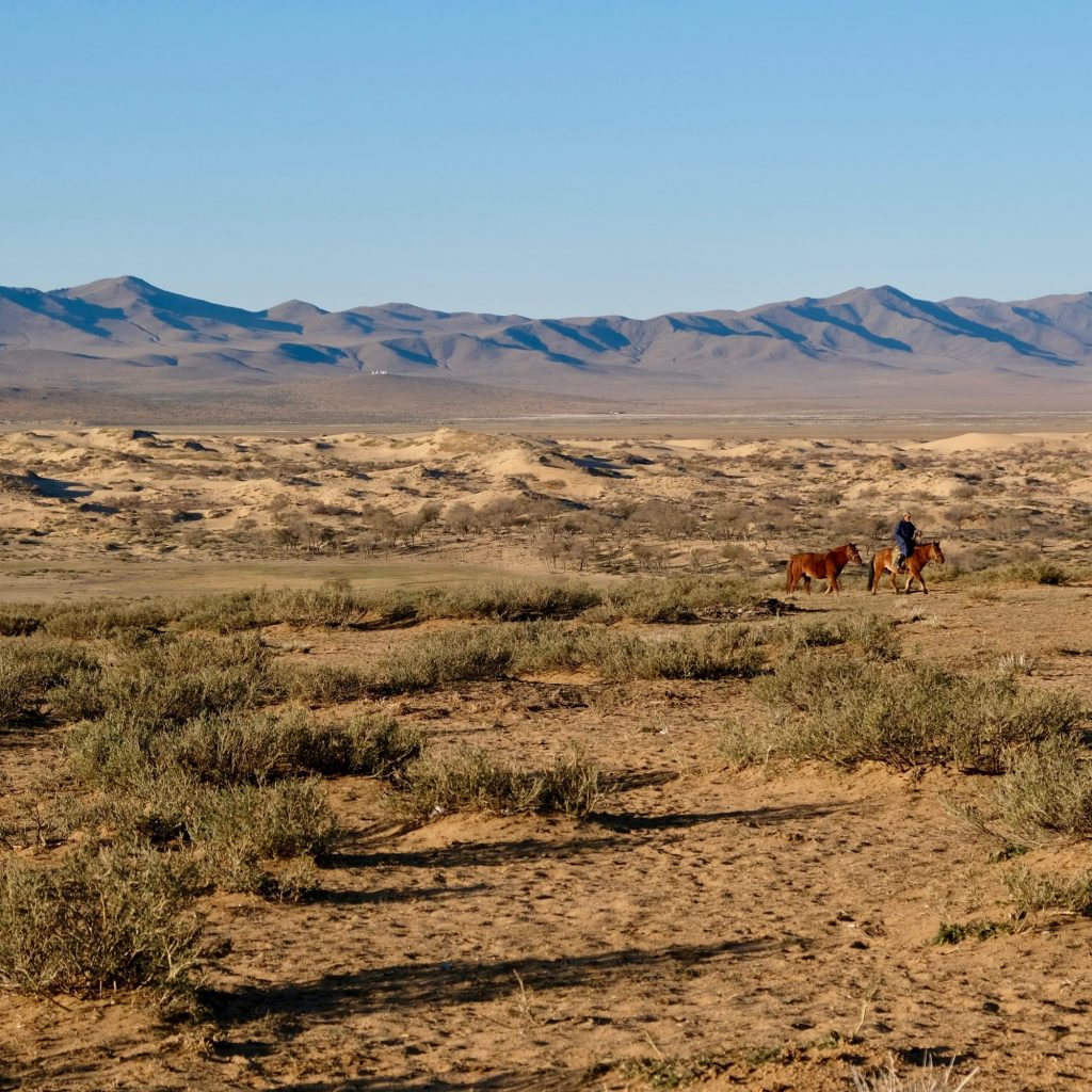 Éleveur dans le désert de Gobi