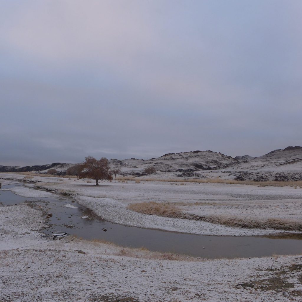 Neige du matin