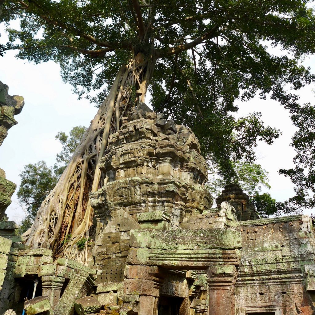 Ta Prohm