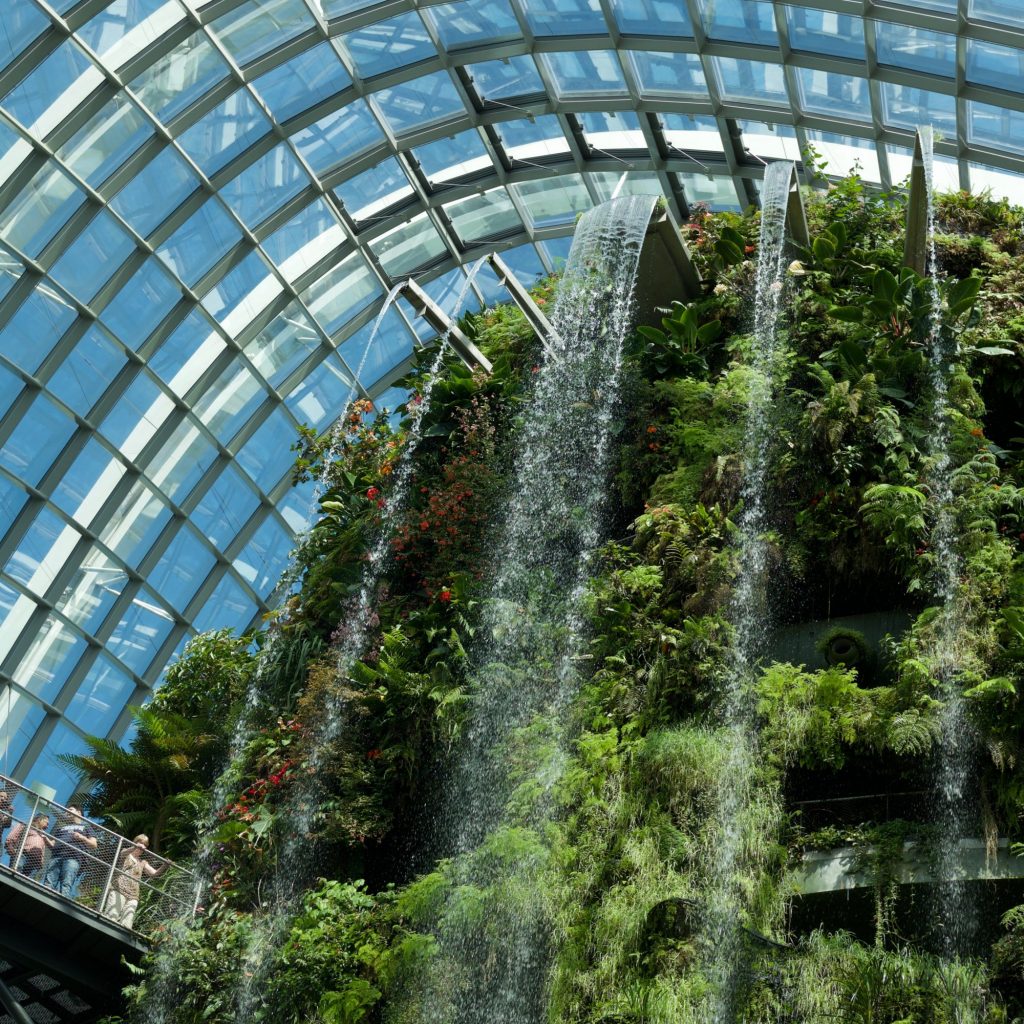 Garden by the Bay - Cloud Forest