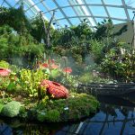 Gardens by the Bay - Cloud Forest
