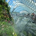 Gardens by the Bay - Cloud Forest