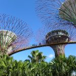 Gardens by the Bay - Supertrees